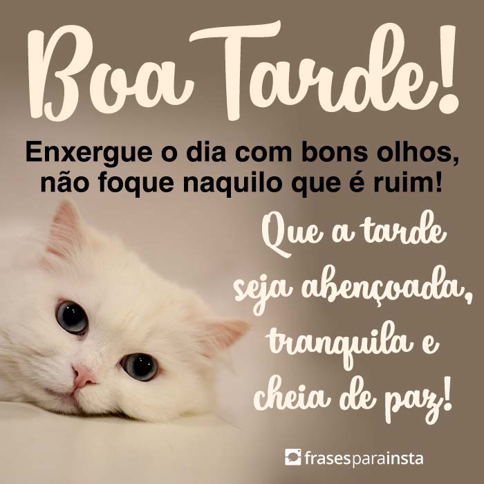 Frases de Boa Tarde