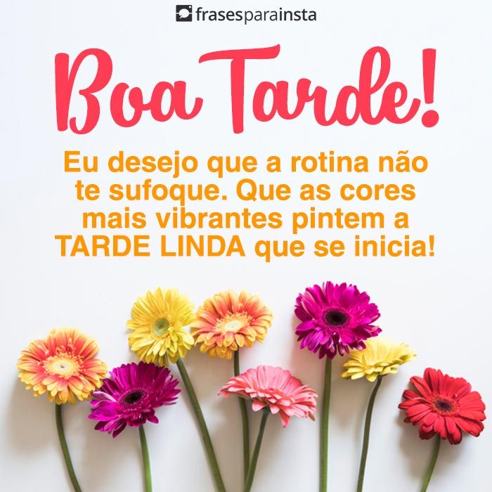 Frases de Boa Tarde