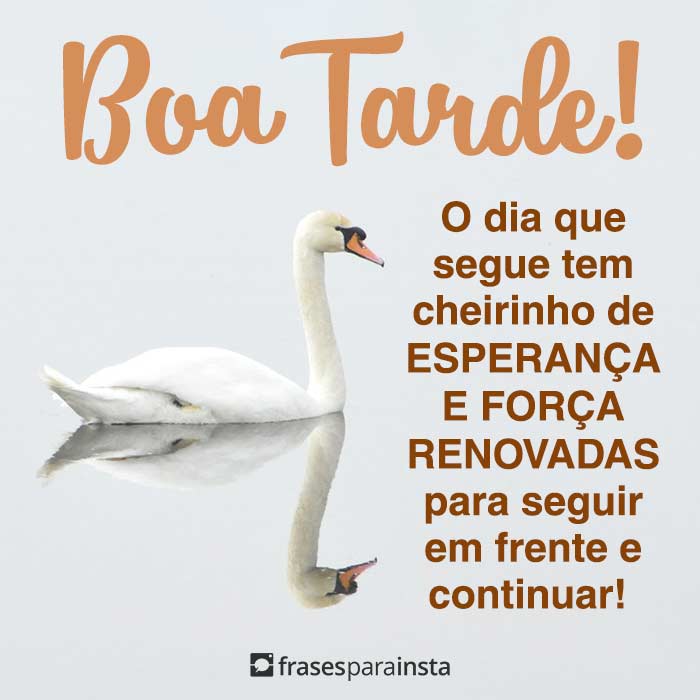 Frases de Boa Tarde