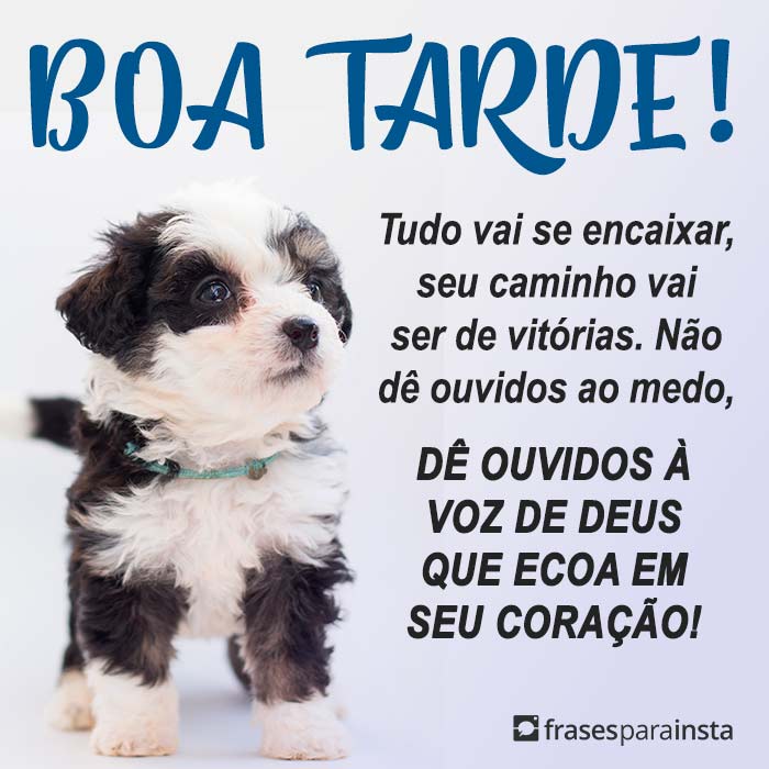 Frases de Boa Tarde