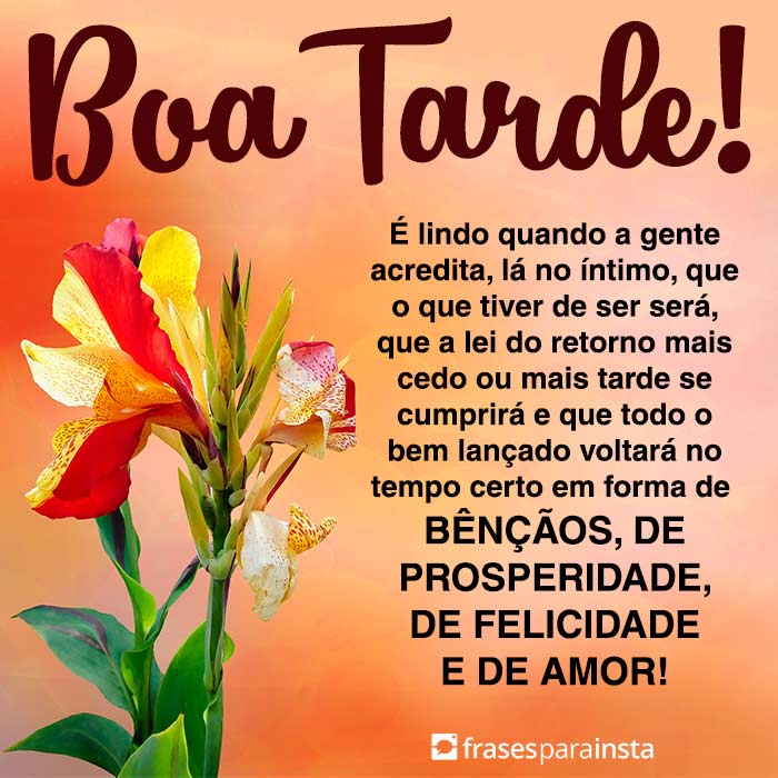 Frases de Boa Tarde