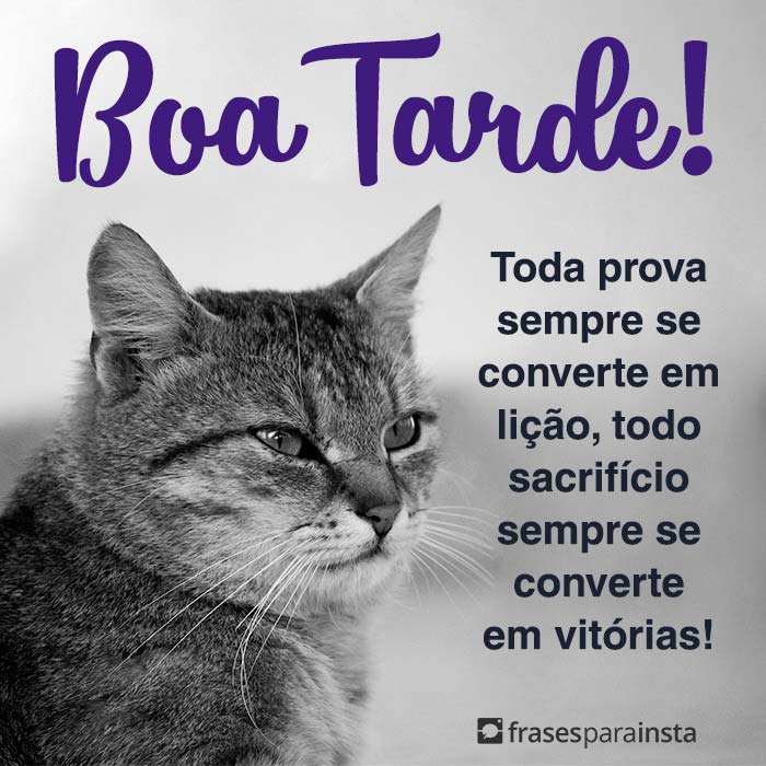 Frases de Boa Tarde