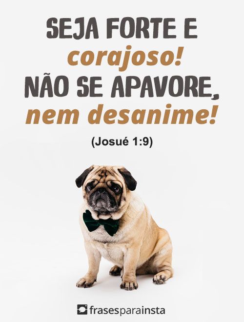 Frases Bíblicas para Fotos +155 Opções para Legendar a sua Foto