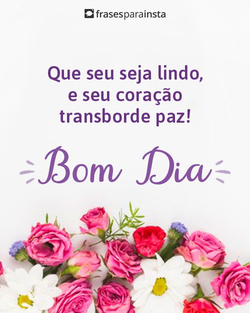 Frases Lindas de Bom Dia: Acorde da Melhor Forma