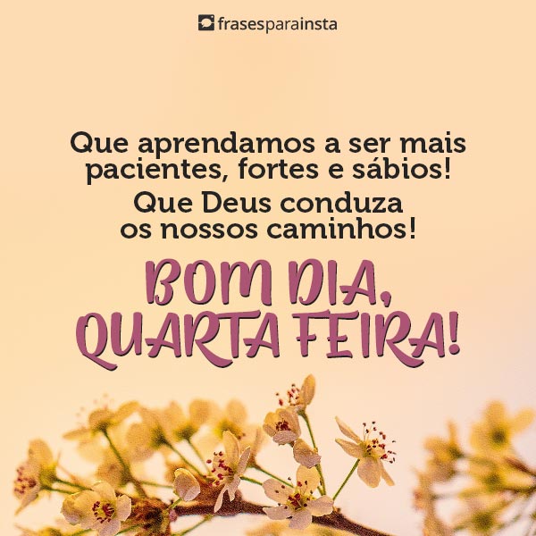 Frases de Quarta Feira