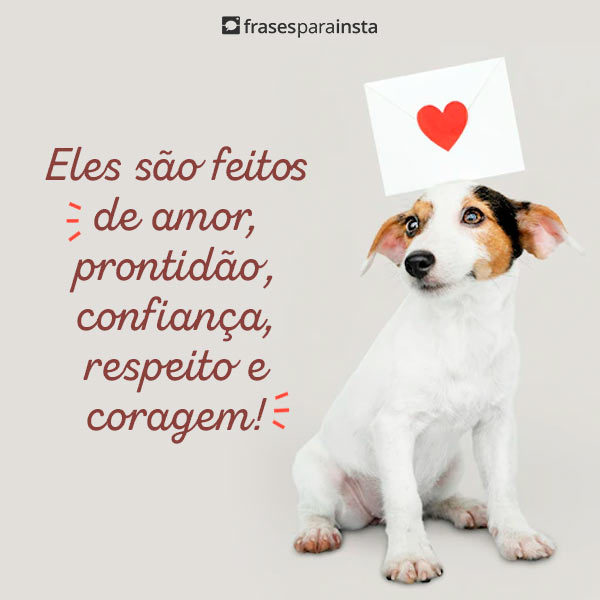 Frases para Fotos com Cachorro +60 Opções de Legendas Prontas para Usar com o Doguinho