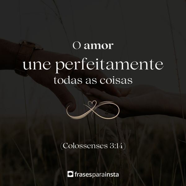 Versículos de Amor que falam do elo perfeito que vem de Deus!