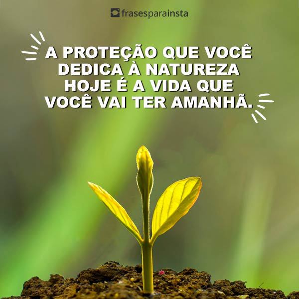 Frases para o Dia da Árvore