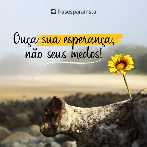 Frases Inspiradoras com muita Motivação, Fé e Esperança