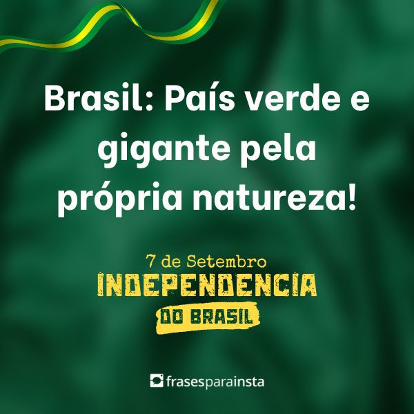 Frases sobre o Dia da independência do Brasil