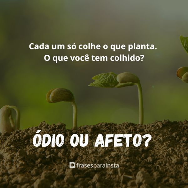 Frases de Ódio para Afastar esse Sentimento de Você