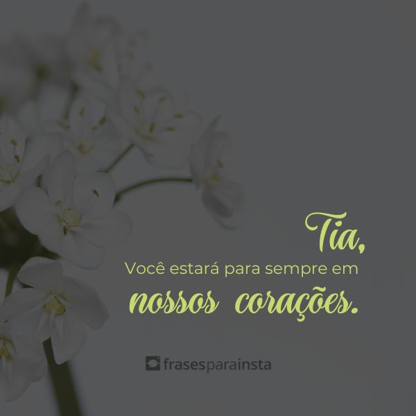 Frases de Luto Tia: Para Dizer o Último Adeus