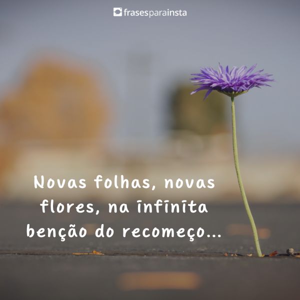 Frases para Status +200 Para você Compartilhar no WhatsApp