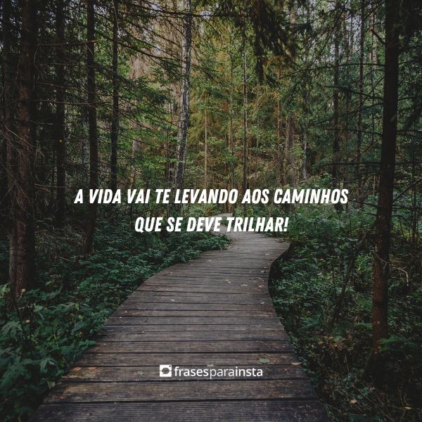 Frases para Status +200 Para você Compartilhar no WhatsApp