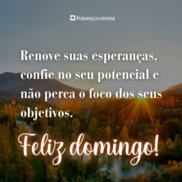 Lindas Frases de Boa Tarde Domingo