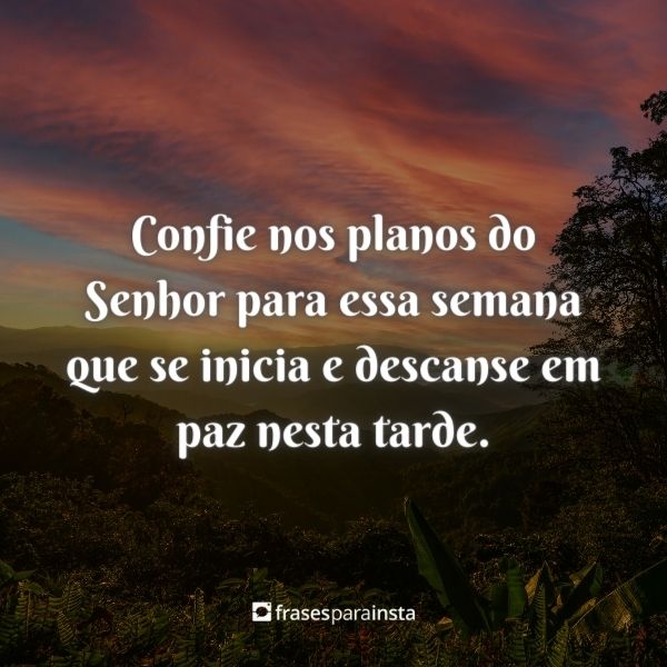 Lindas Frases de Boa Tarde Domingo