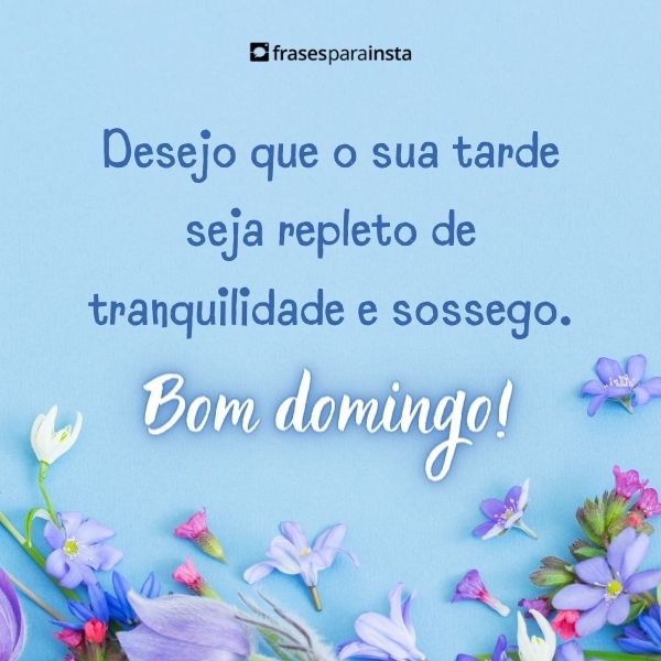 Lindas Frases de Boa Tarde Domingo