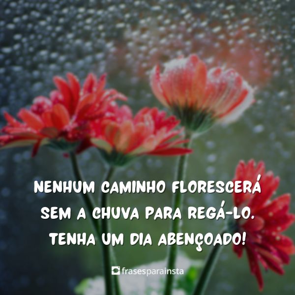 Bom dia com Chuva: +50 Frases e Mensagens para começar o dia