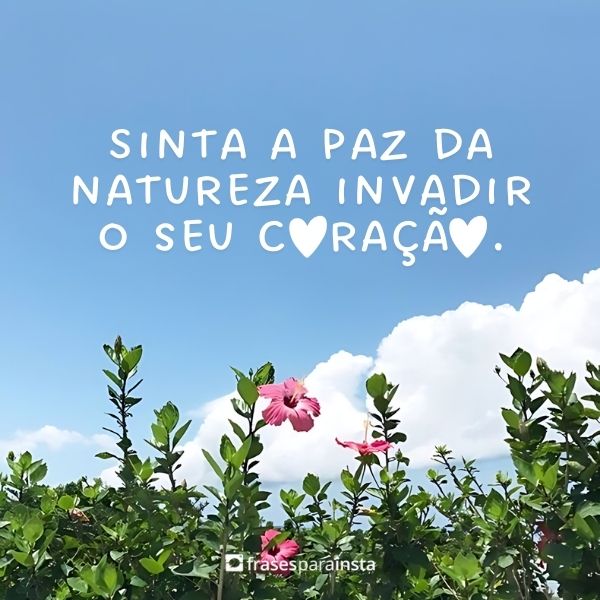 Legendas para Fotos na Natureza