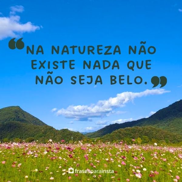 Legendas para Fotos na Natureza