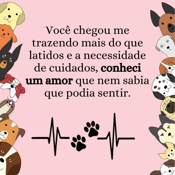 Frases para Fotos com Cachorro +60 Opções de Legendas Prontas para Usar com o Doguinho