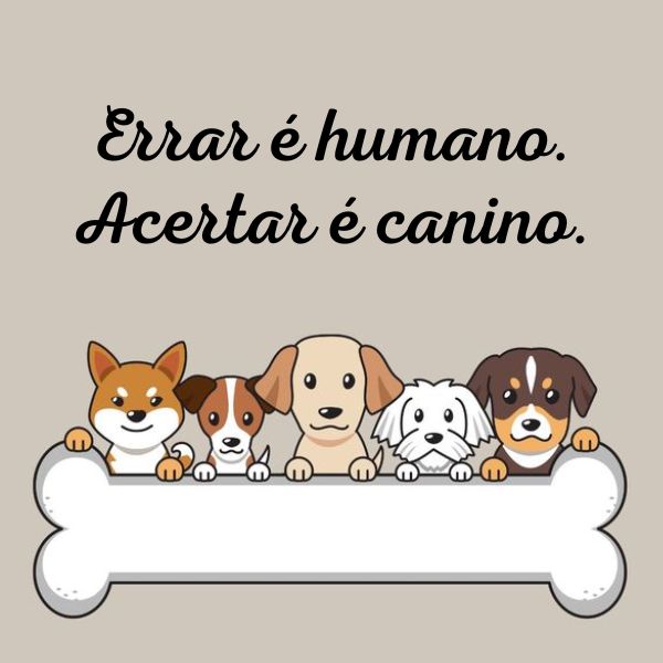 Frases para Fotos com Cachorro +60 Opções de Legendas Prontas para Usar com o Doguinho