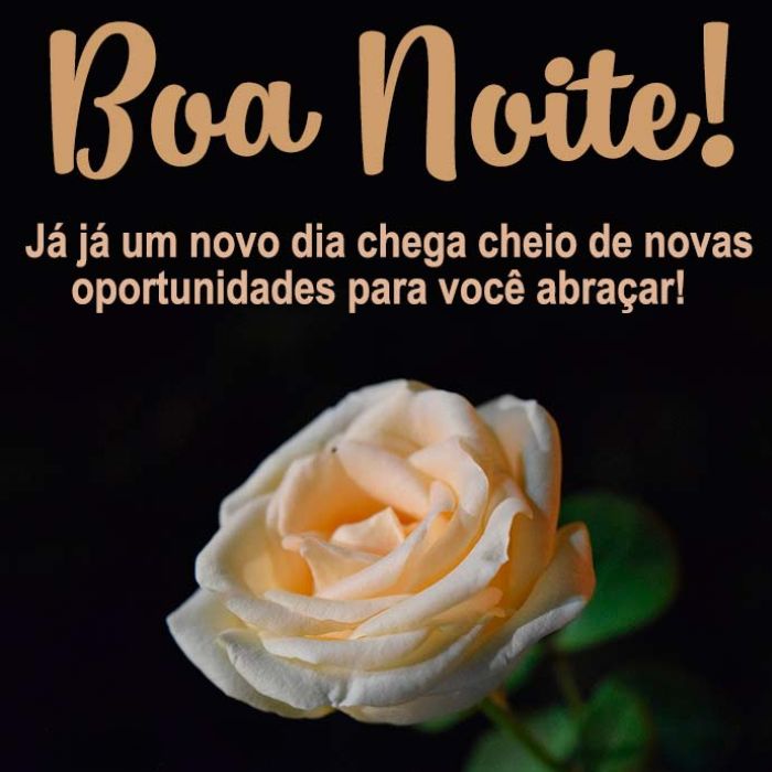 Boa Noite Bons Sonhos