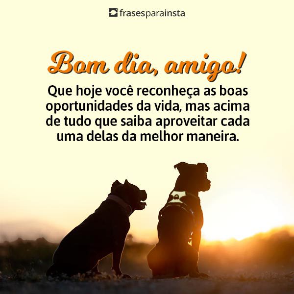 Bom Dia Amigos