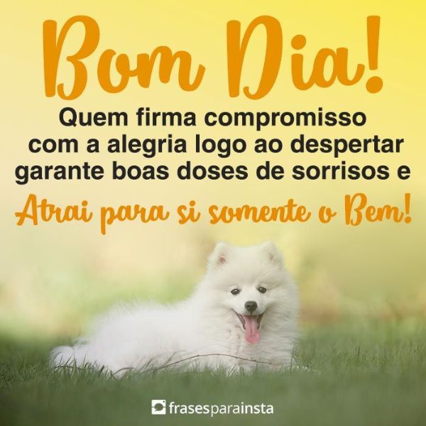 Bom Dia com Carinho