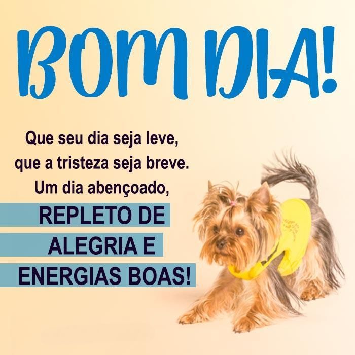 Bom Dia a Todos