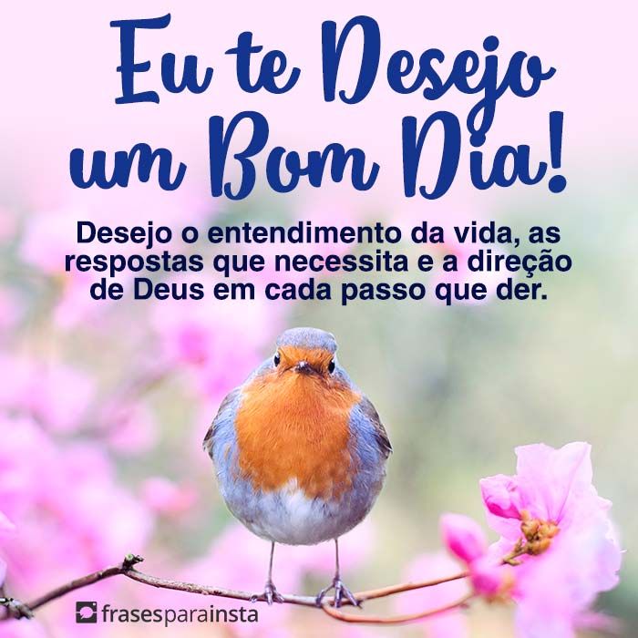 Bom Dia a Todos