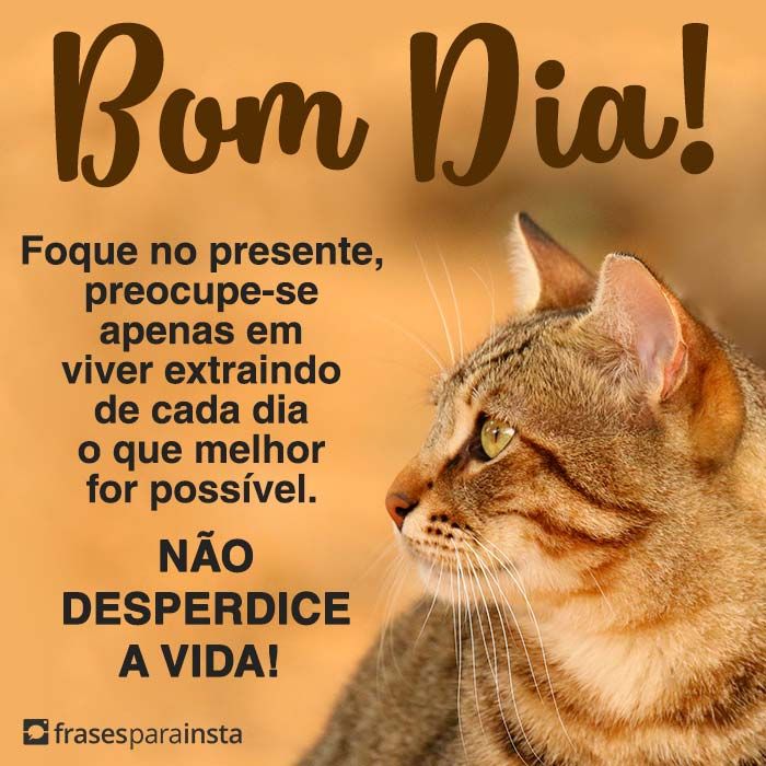 Bom Dia a Todos