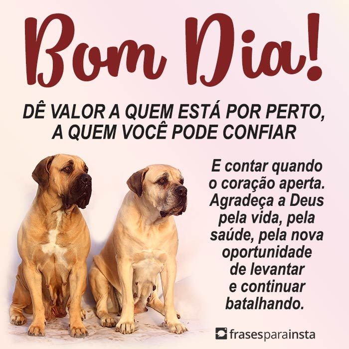 Bom Dia Romântico