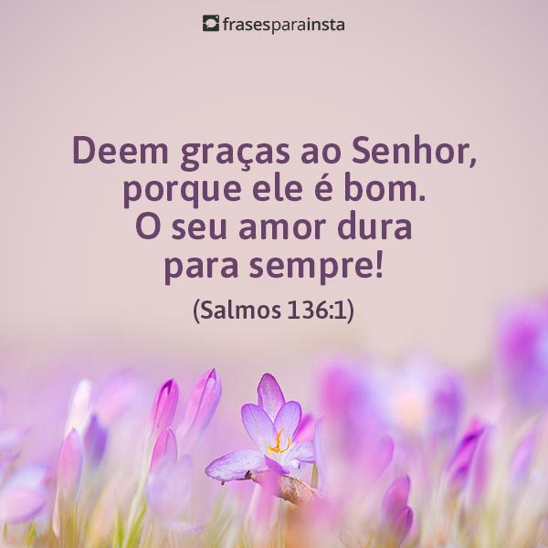 Versículos de Amor que falam do elo perfeito que vem de Deus!