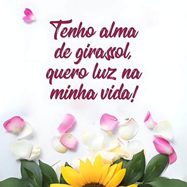 Frases para Status +200 Para você Compartilhar no WhatsApp