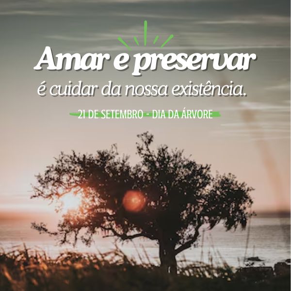 Frases para o Dia da Árvore