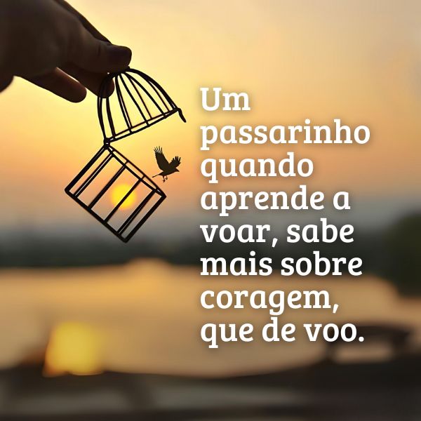 Frases Sobre Liberdade +50 Legendas Para Te Inspirar