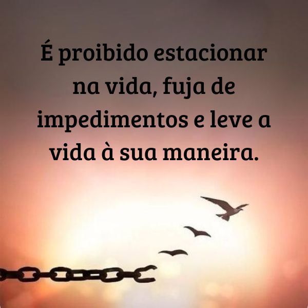 Frases Sobre Liberdade +50 Legendas Para Te Inspirar