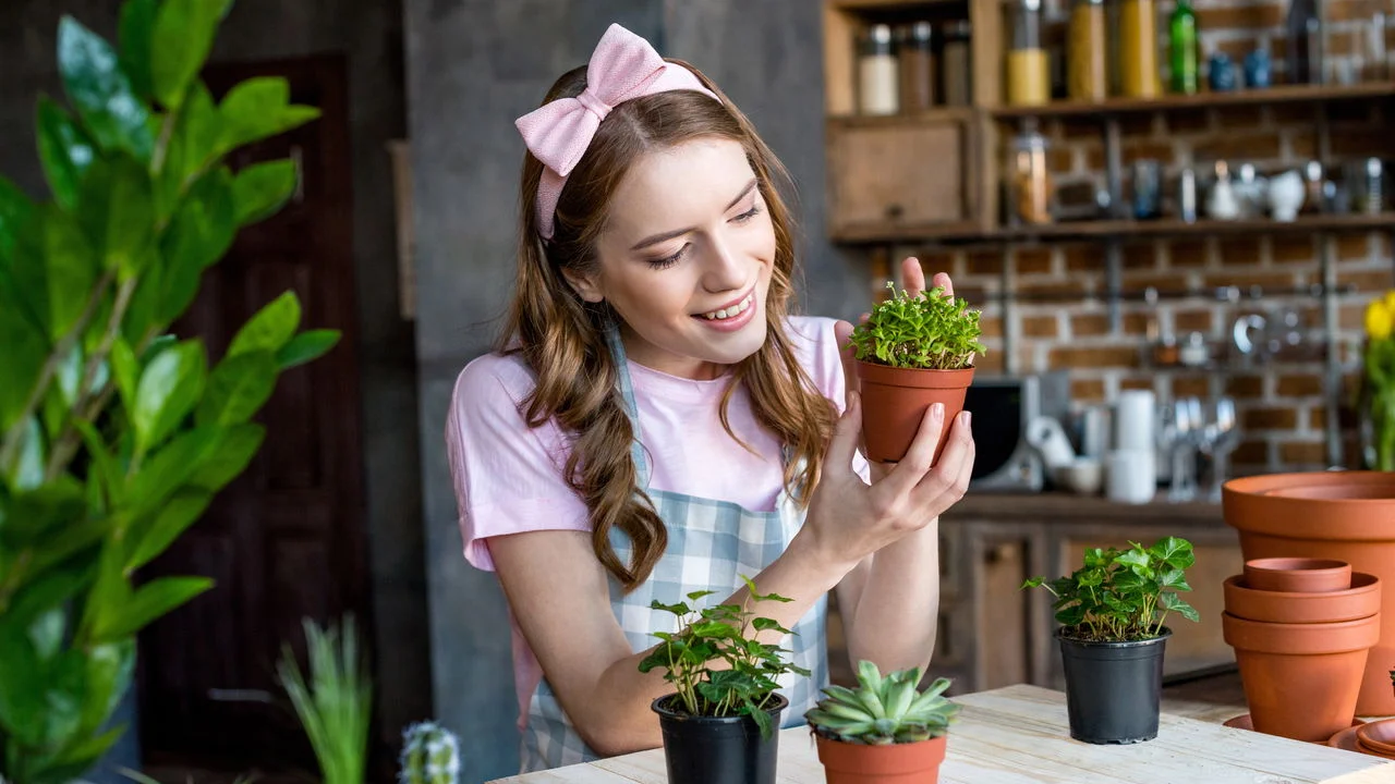 A vida real por trás da rotina: como pequenos hábitos mudam o seu dia
