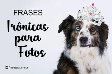 Imagem do post Frases Irônicas para Fotos