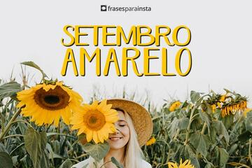 Imagem do post Frases para Setembro Amarelo