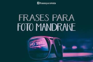 Imagem do post Frases para foto Mandrake