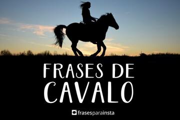 Imagem do post Frases Sobre Cavalo